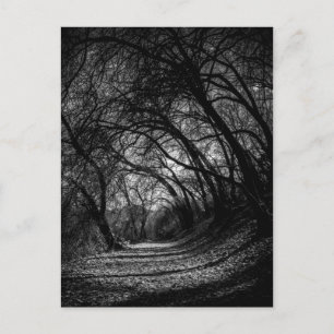Postal Camino oscuro