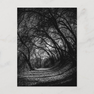 Postal Camino oscuro