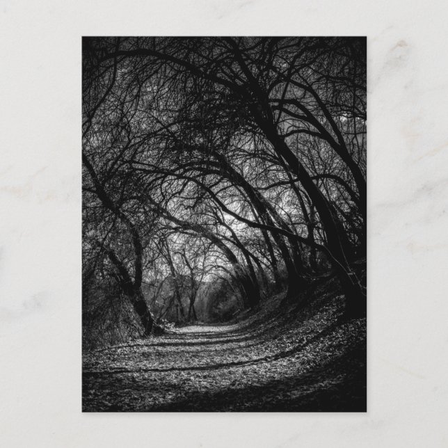 Postal Camino oscuro (Anverso)