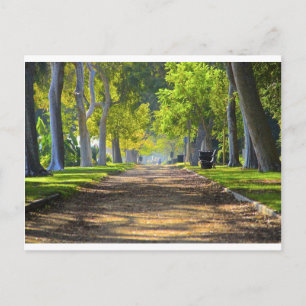 Postal Camino pacífico
