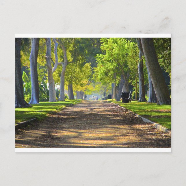 Postal Camino pacífico (Anverso)