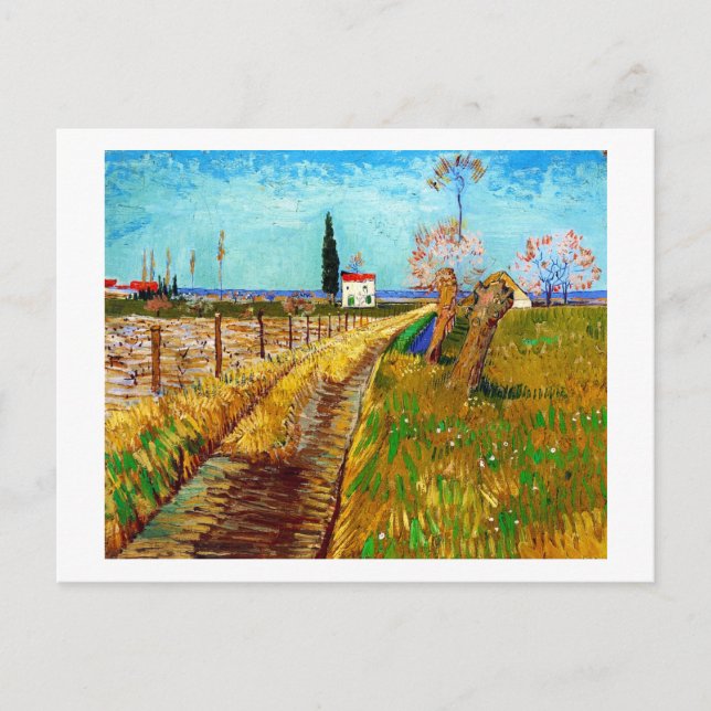 Postal Camino por un campo con Willows Van Gogh (Anverso)