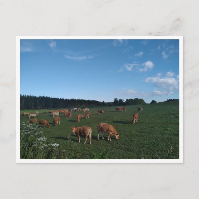 Postal Camino Primitivo de Santiago (España) (Anverso)