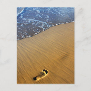 Postal Caminos de playa