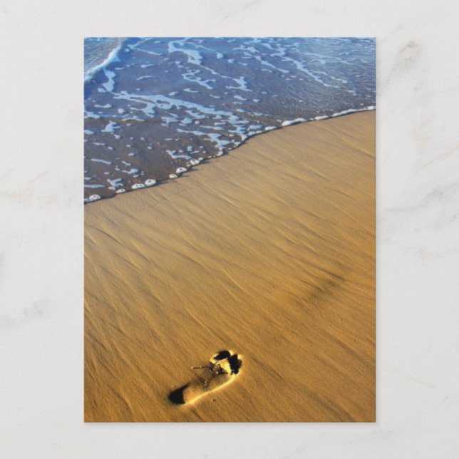Postal Caminos de playa (Anverso)