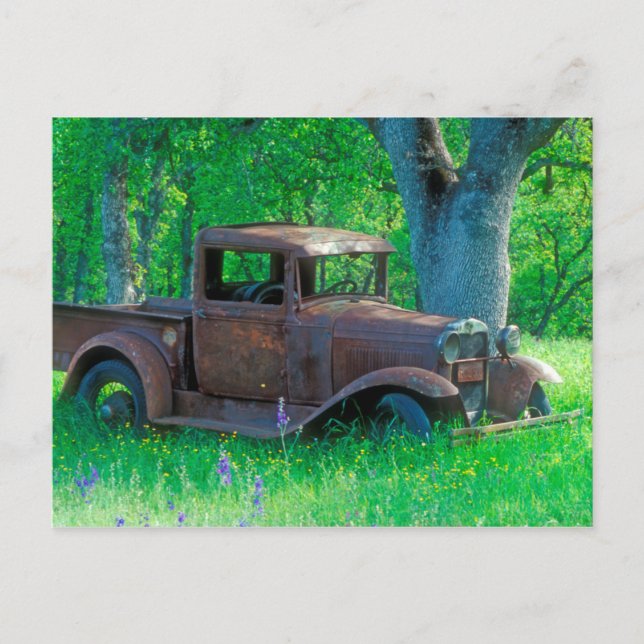 Postal Camión antiguo oxidado en una pradera (Anverso)