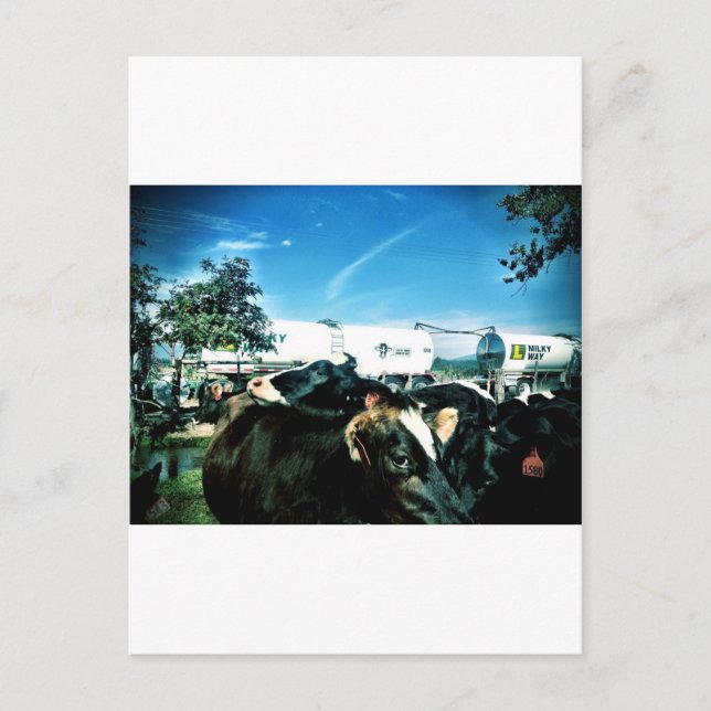 Postal camión de leche (Anverso)