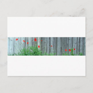 Postal Camionetas en la pared
