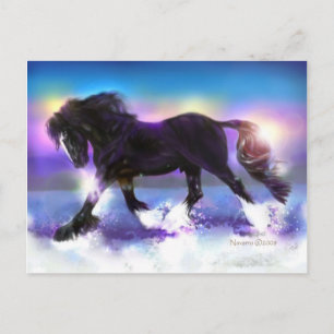 Postal Camisa de pies negros