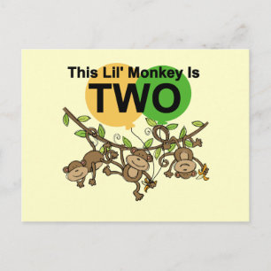 Postal Camisetas y regalos de 2º cumpleaños de monos que 