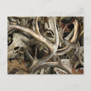 Postal Camo Deer Skulls