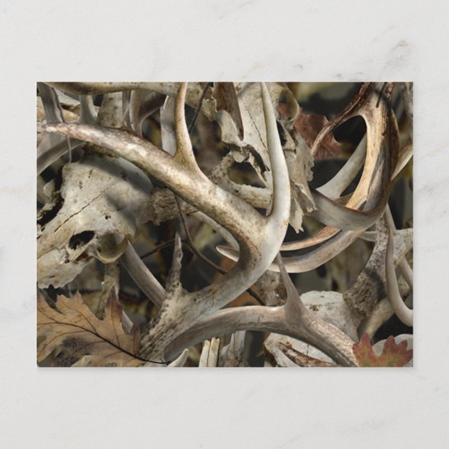 Postal Camo Deer Skulls (Anverso)