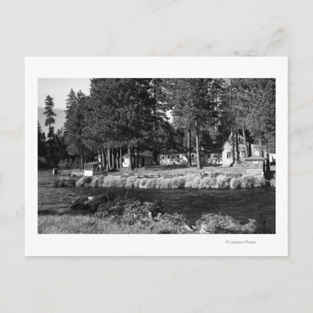 Postal Camp Sherman, vista de Oregón de las Cabinas de Ro (Anverso)