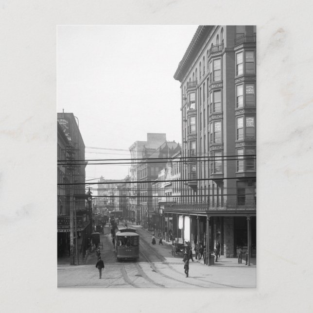 Postal Camp Street, Nueva Orleans: 1906 (Anverso)