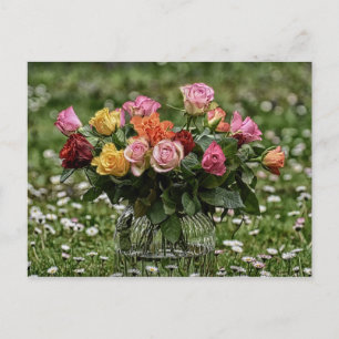 Postal Campamento Rústico De Rosas