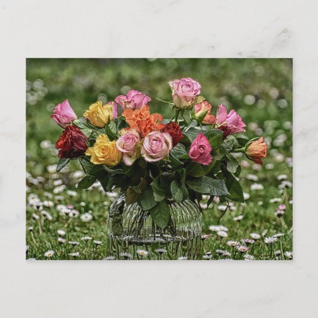 Postal Campamento Rústico De Rosas (Anverso)