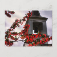 campanario florece el cementerio de Virginia de la