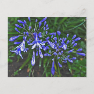 Postal Campanas azules