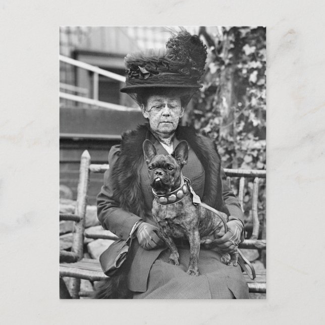 Postal Campeón de Bulldog francés de los años 20 (Anverso)