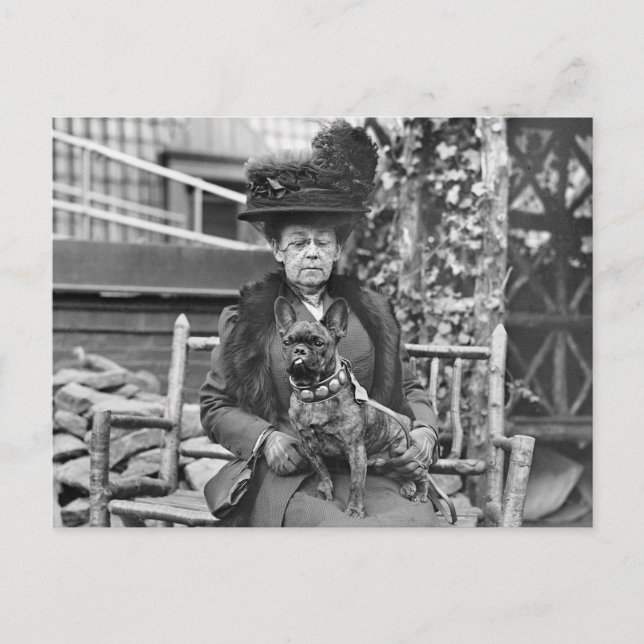 Postal Campeón de Bulldog francés de los años 20 (Anverso)