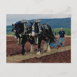 Postal Campeonato Británico de Pesado de Caballos de Some