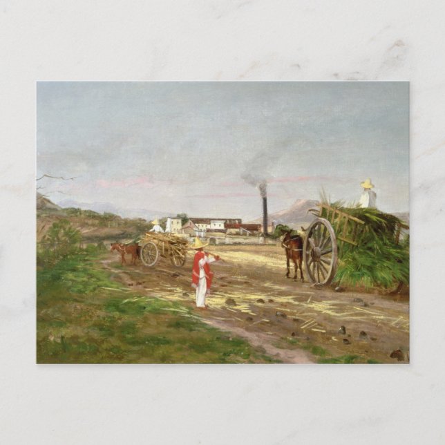 Postal Campesinos recolectando caña de azúcar (Anverso)