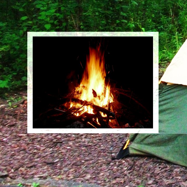 Postal Campfire Burning at Night Postcard (Subido por el creador)