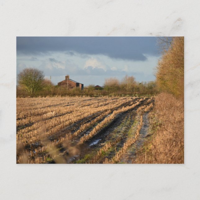 Postal Campo (Anverso)