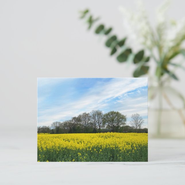 Postal Campo británico (Anverso de pie)