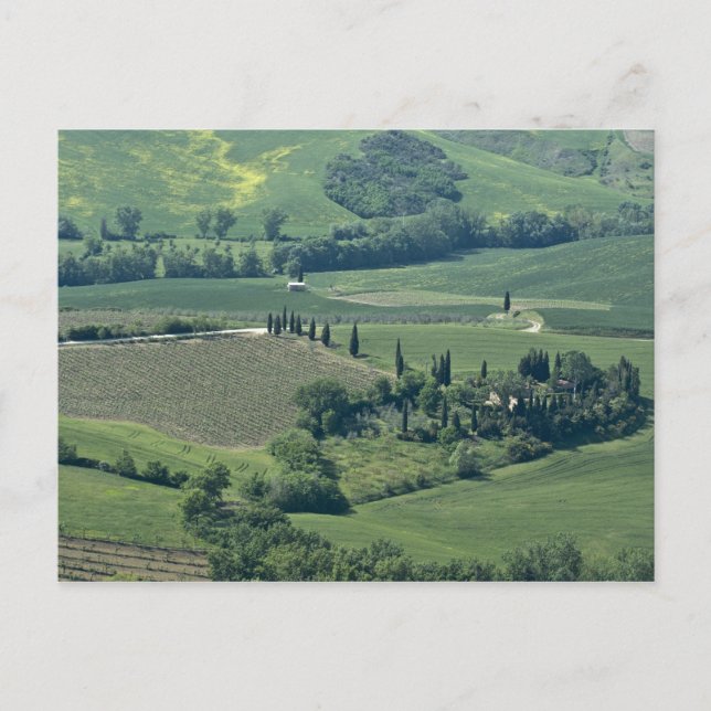 Postal Campo cerca de Montepulciano, Val d'Orcia, (Anverso)