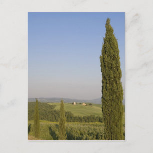 Postal Campo cerca de Pienza. Val d'Orcia, Siena