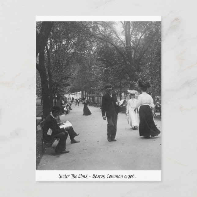 Postal Campo común de Boston, vintage América 1906 (Anverso)
