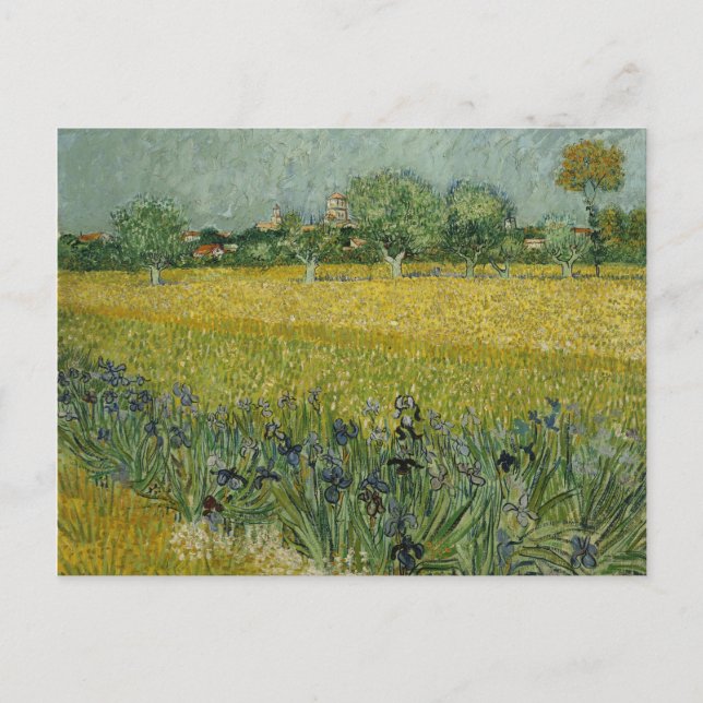 Postal Campo con flores cerca de Arles Postcard (Anverso)