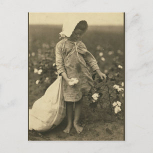 Postal Campo de algodón