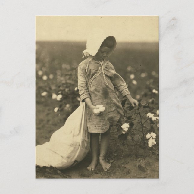 Postal Campo de algodón (Anverso)