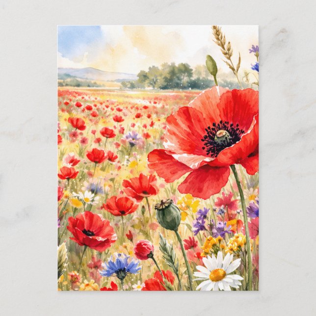 Postal Campo de amapolas - Amapola acuarela (Anverso)