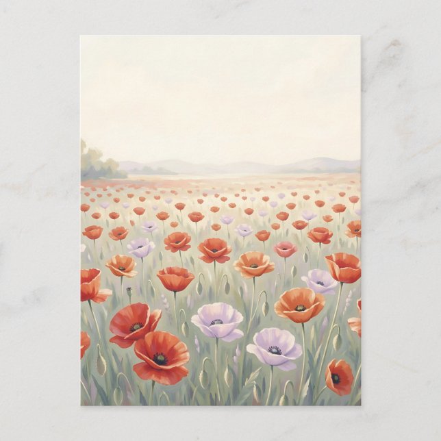 Postal Campo de Amapolas Rojas Prado de Flores Silvestres (Anverso)
