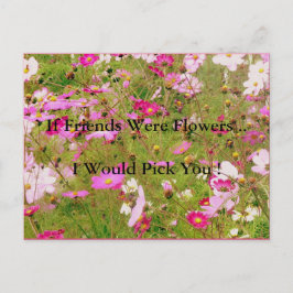 Postal Campo De Amistad Con Las Flores Rosa