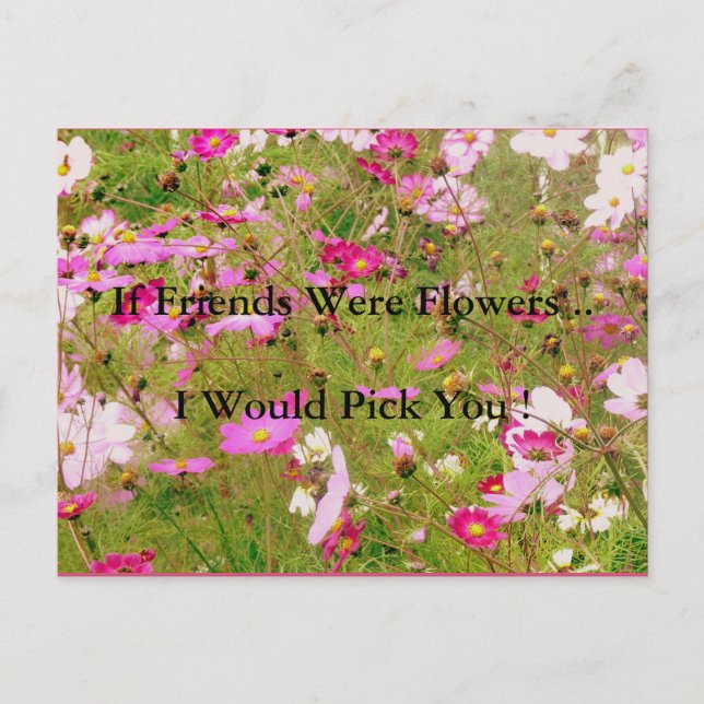 Postal Campo De Amistad Con Las Flores Rosa (Anverso)