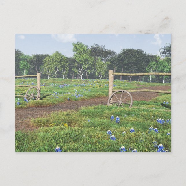 Postal Campo de Bluebonnets (Anverso)