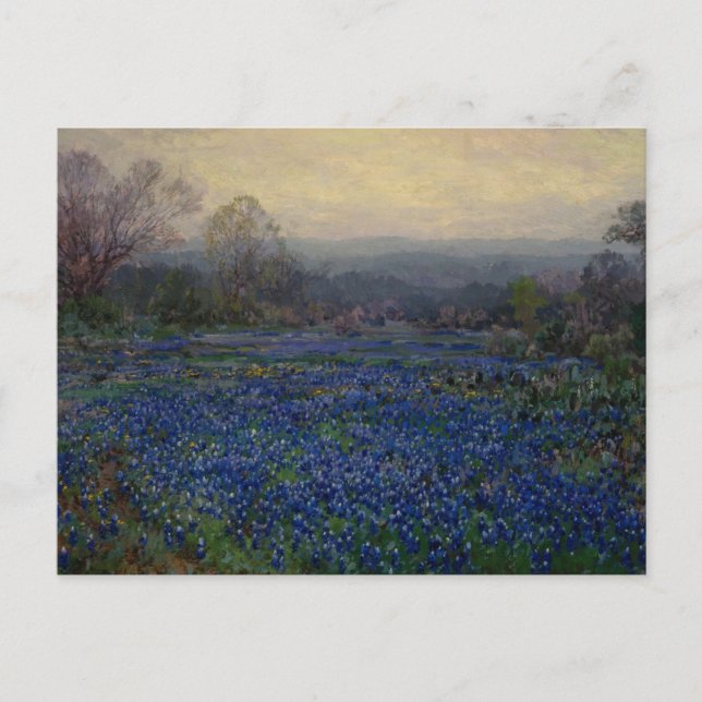 Postal Campo de Bluebonnets, 1918 (Anverso)