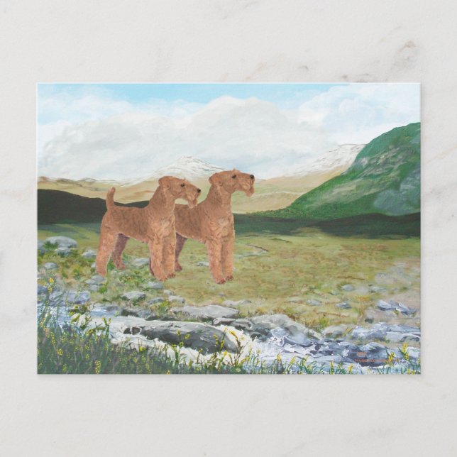 Postal Campo de Connemara (Anverso)