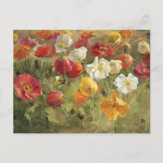 Postal Campo de disquete (Anverso)