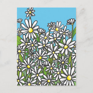 Postal Campo de flores de margarita blanca