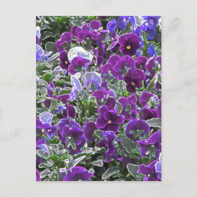 Postal Campo De Flores Púrpura 8420 Pansies (Anverso)