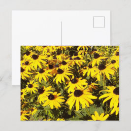 Postal Campo de flores silvestres amarillas