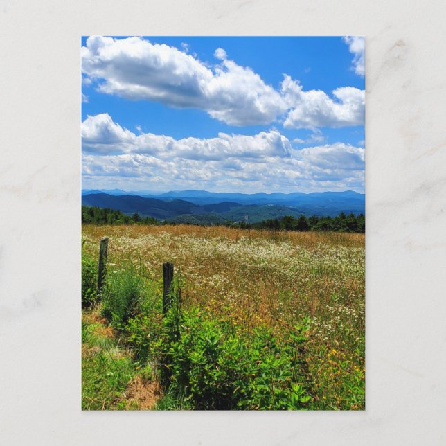 Postal Campo de flores y montañas (Anverso)