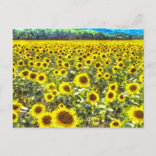 Postal Campo de girasol Vincent Van Gogh (Anverso)