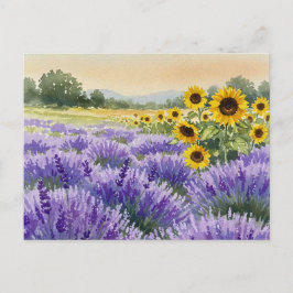 Postal Campo de girasoles y lavanda verano Provenza Tarje