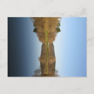 Postal Campo de golf inundado